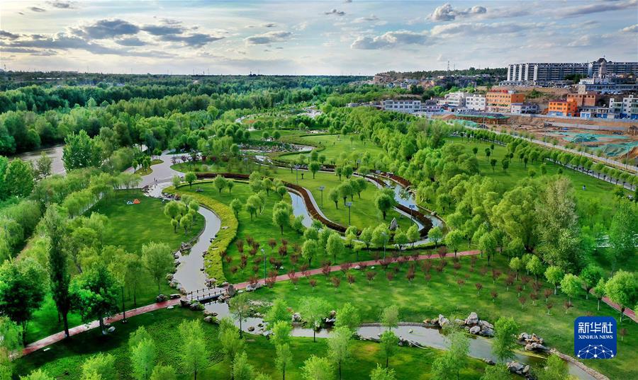 （新華全媒頭條·聚焦生物多樣性大會(huì)·圖文互動(dòng)）（4）攜手同行，開(kāi)啟人類(lèi)高質(zhì)量發(fā)展新征程——習(xí)近平主席在《生物多樣性公約》第十五次締約方大會(huì)領(lǐng)導(dǎo)人峰會(huì)上的主旨講話解讀