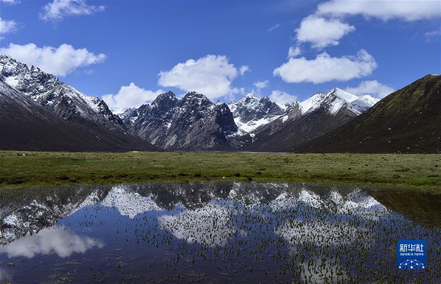 （新華全媒頭條·聚焦生物多樣性大會(huì)·圖文互動(dòng)）（7）攜手同行，開(kāi)啟人類(lèi)高質(zhì)量發(fā)展新征程——習(xí)近平主席在《生物多樣性公約》第十五次締約方大會(huì)領(lǐng)導(dǎo)人峰會(huì)上的主旨講話解讀