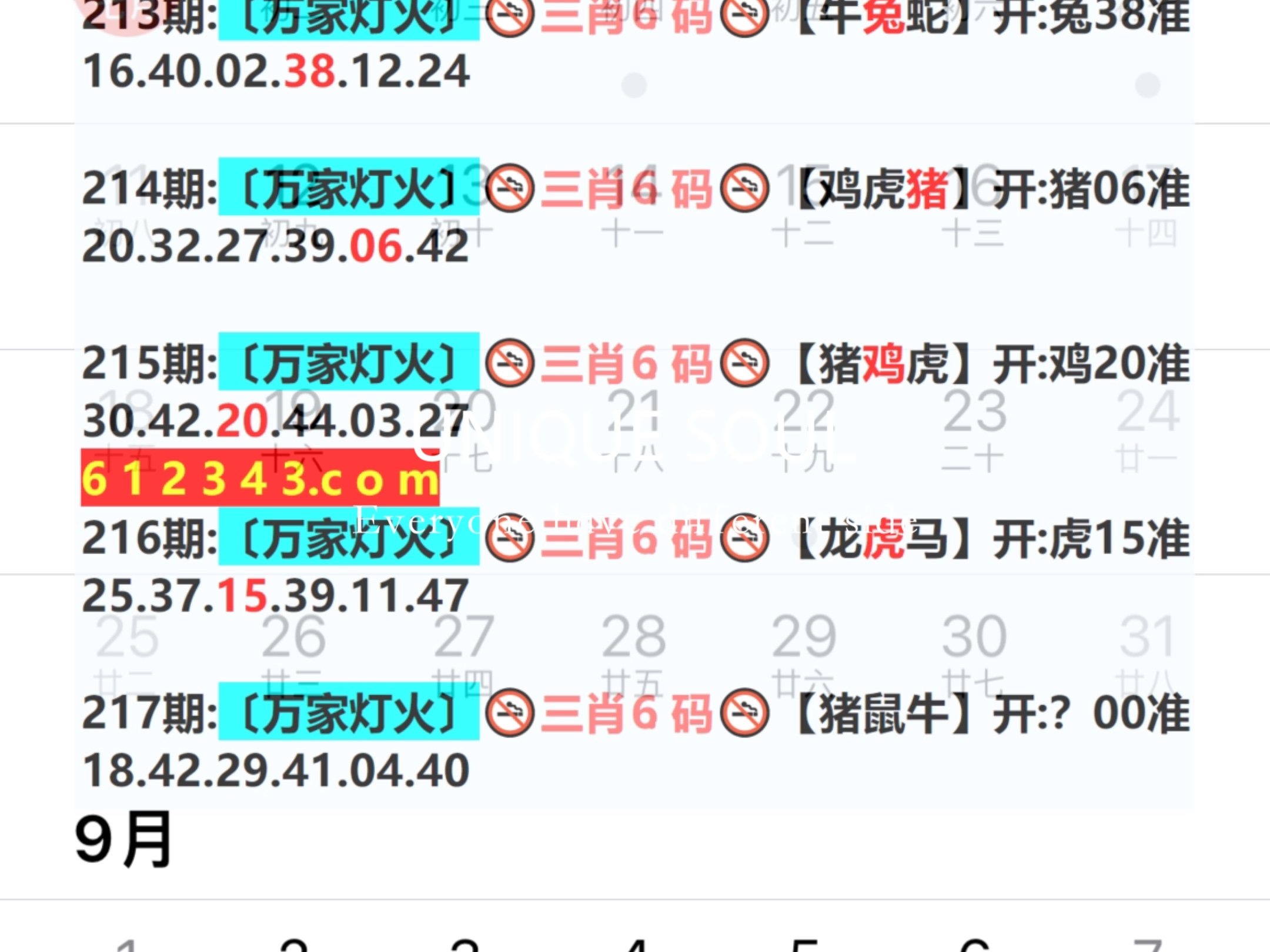 2024年新奧門(mén)天天開(kāi)彩,深入研究執(zhí)行計(jì)劃_生態(tài)版12.756