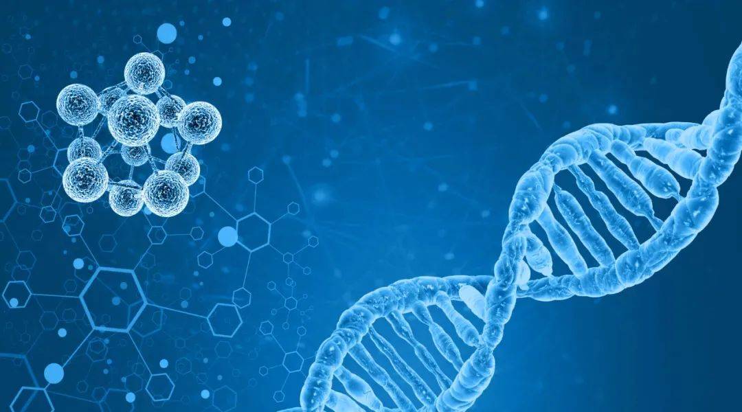 最準一肖100%中一獎,科學解釋分析_品牌版43.613